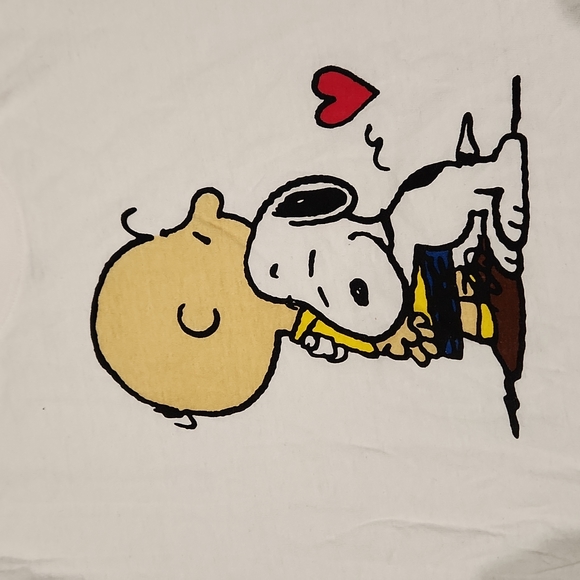 Peanuts Shirts Euc 22 Peanuts Charlie Brown Snoopy Mens Sz L Tshirt